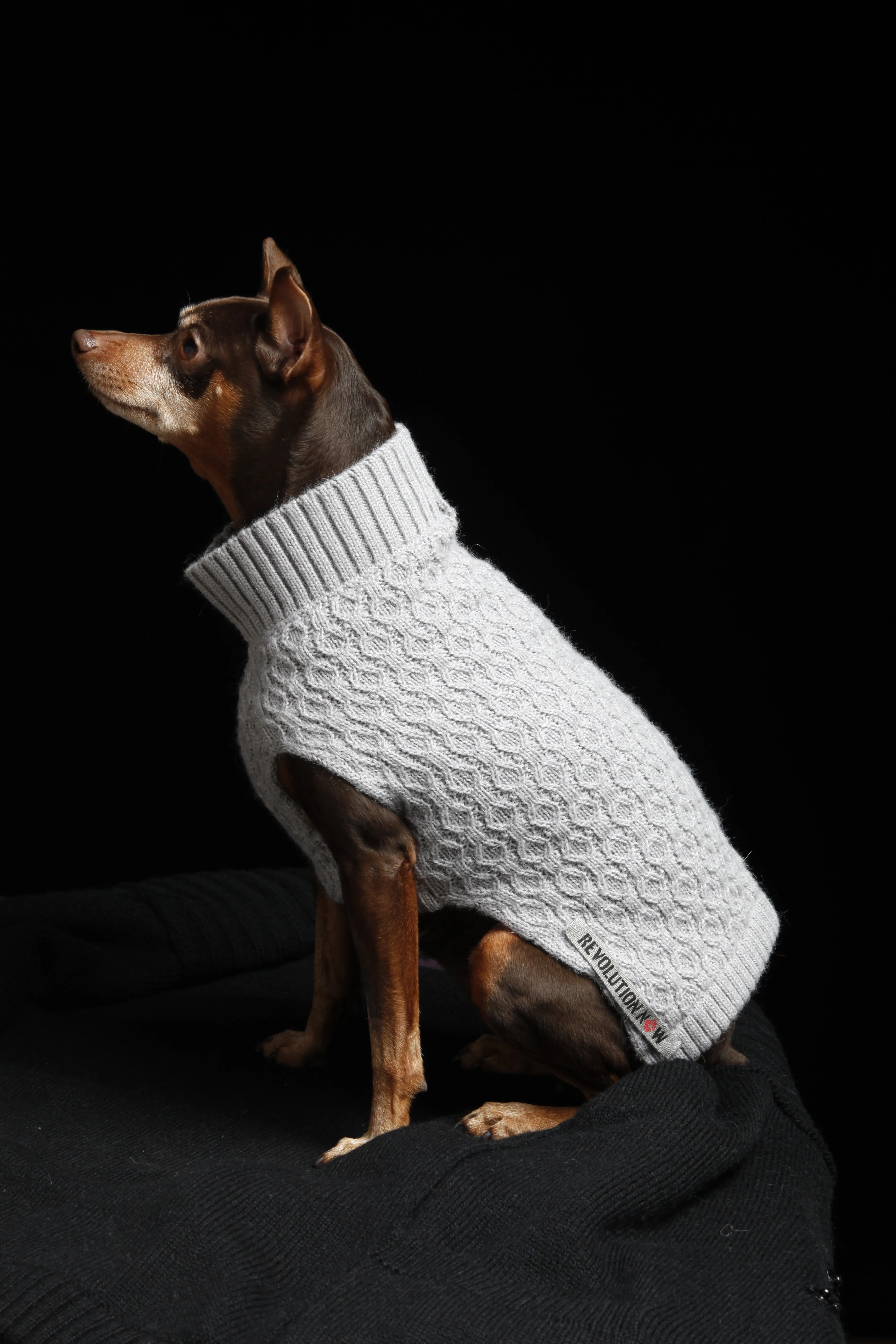 Paws Mock Neck Honeycomb Knitted Sweater