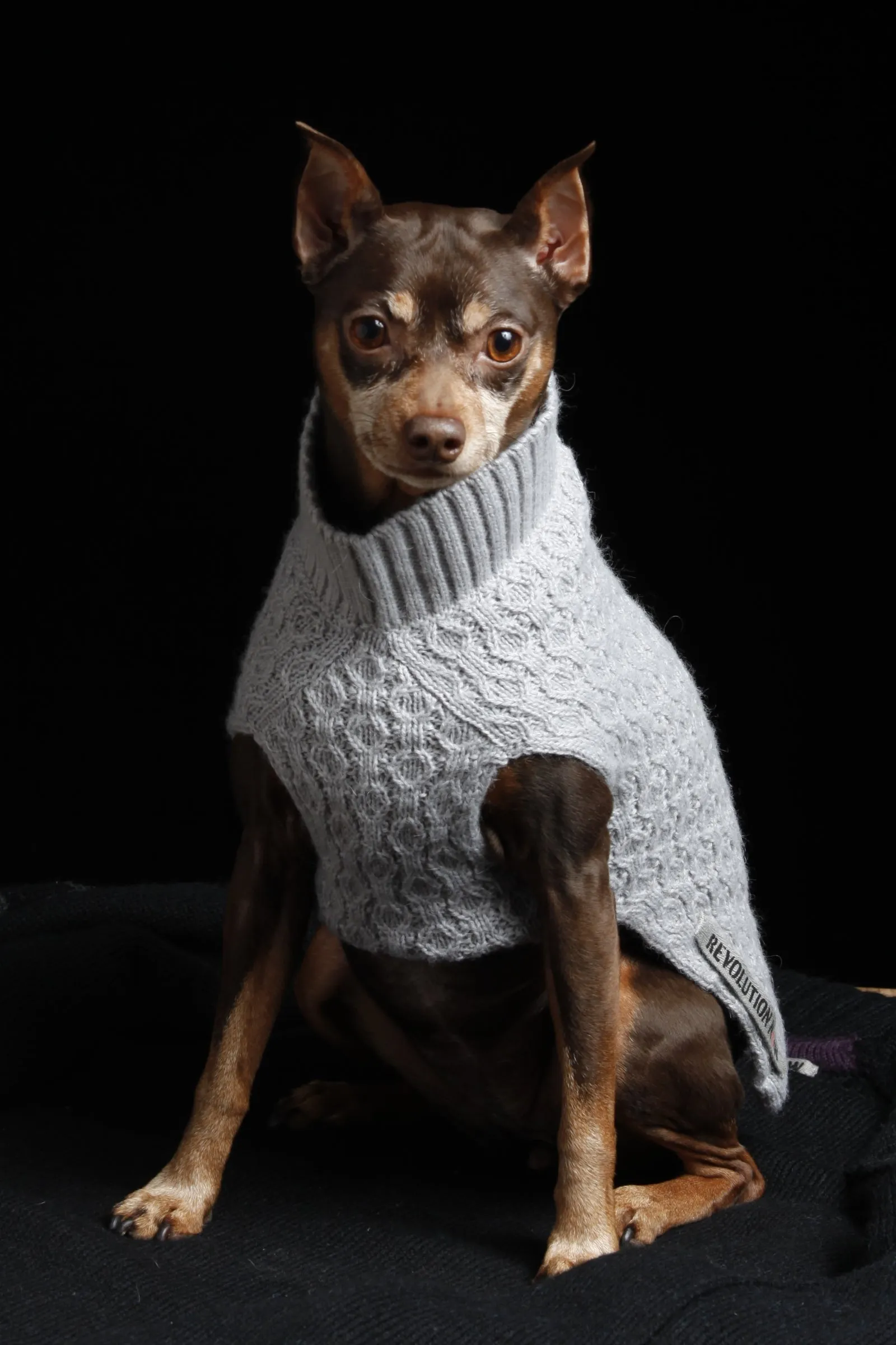 Paws Mock Neck Honeycomb Knitted Sweater