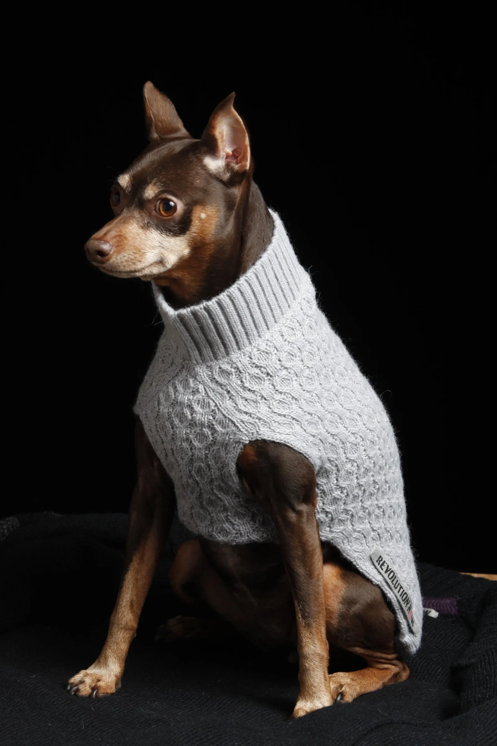 Paws Mock Neck Honeycomb Knitted Sweater