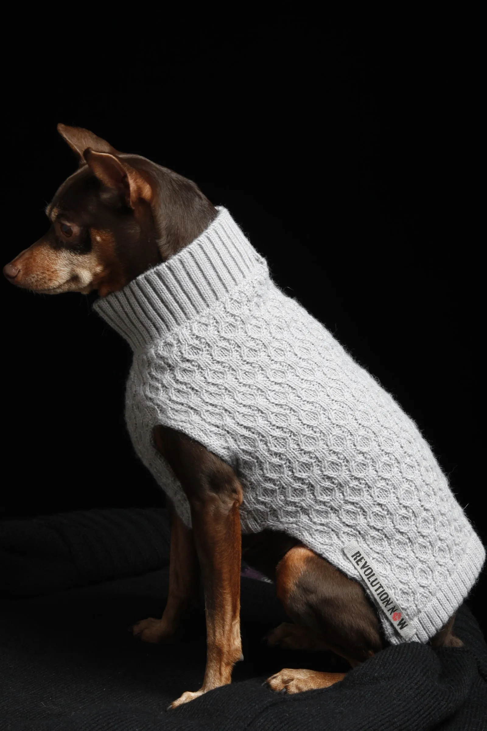 Paws Mock Neck Honeycomb Knitted Sweater