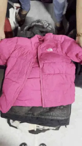 The North Face Puffer Jackets 550 Series - 31 Pieces